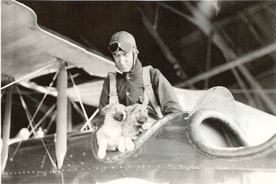 W.C. Ocker