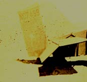 NC7499 Enhanced Image