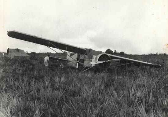 A Third View of the Leveled Flamingo