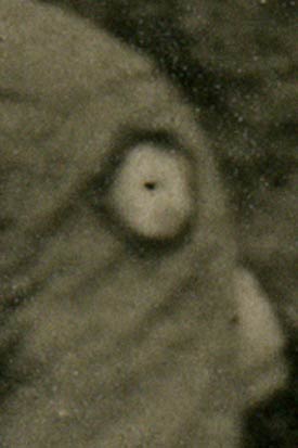 Shoulder Insignia, 3rd U.S. Army