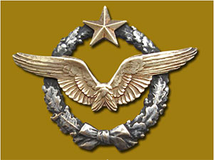 French wings (Brevet D'aviateur), Ca. 1918 (Source: Web)